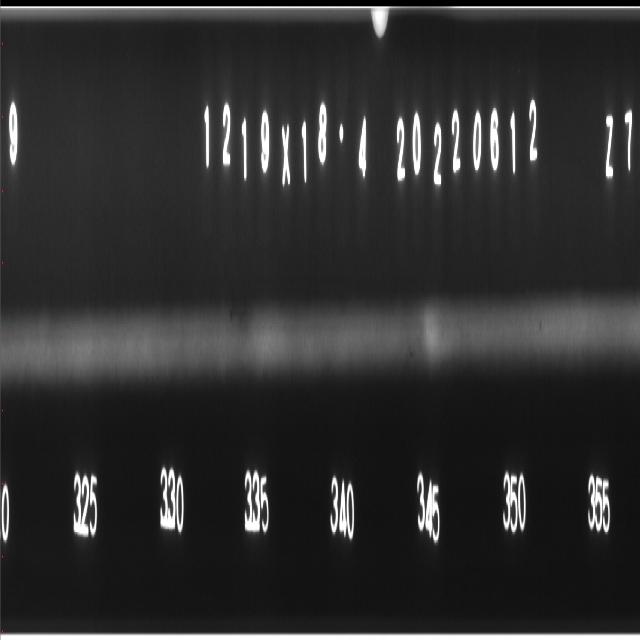 x-ray-weld-detect Object Detection Model (v1, 2024-10-14 9:17am) by test