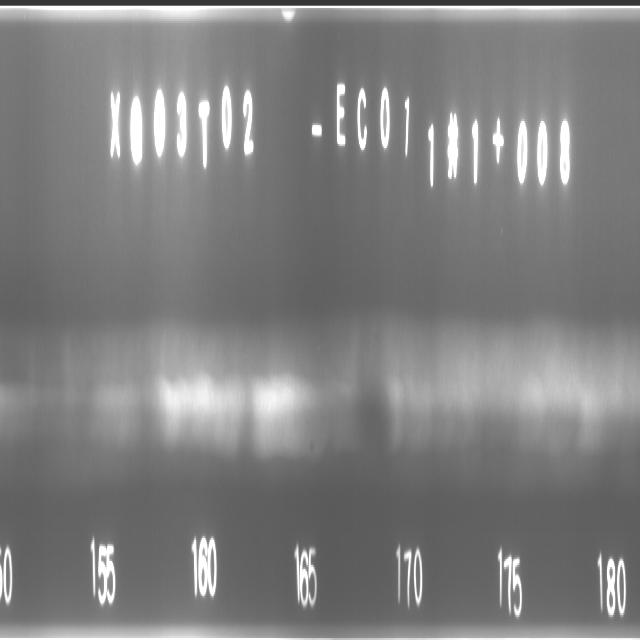 x-ray-weld-detect Object Detection Model (v1, 2024-10-14 9:17am) by test