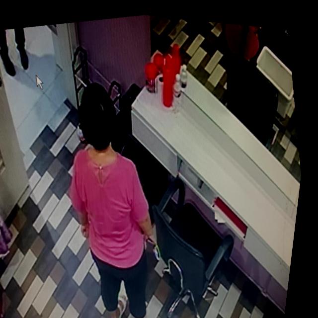 Dataset Image