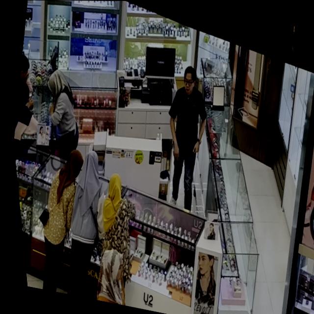 Dataset Image