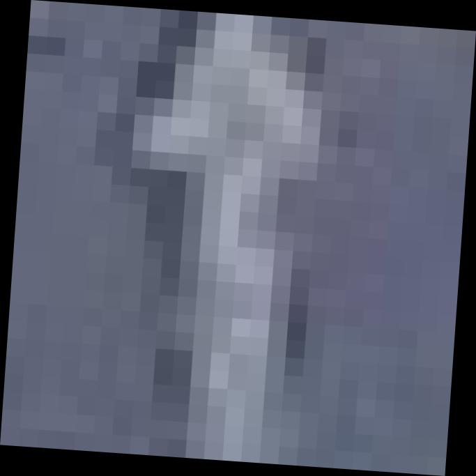 Dataset Image