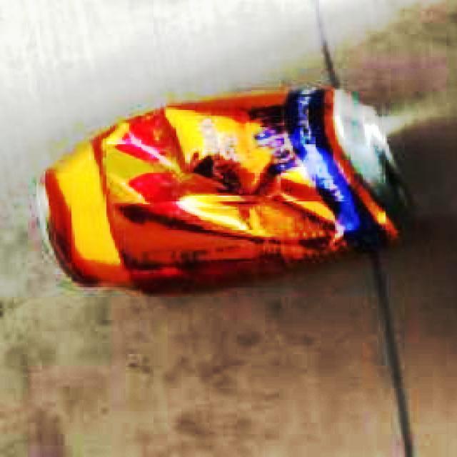 Dataset Image