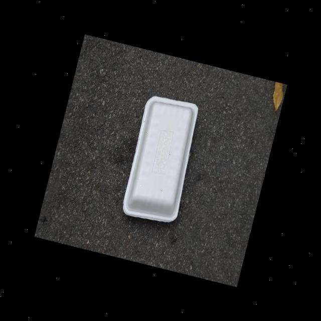 Dataset Image