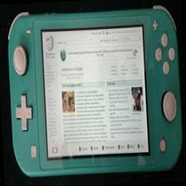 Dataset Image