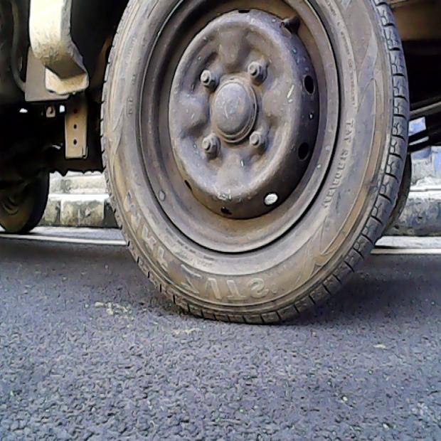 Dataset Image