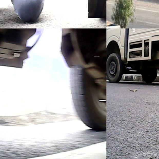 Dataset Image