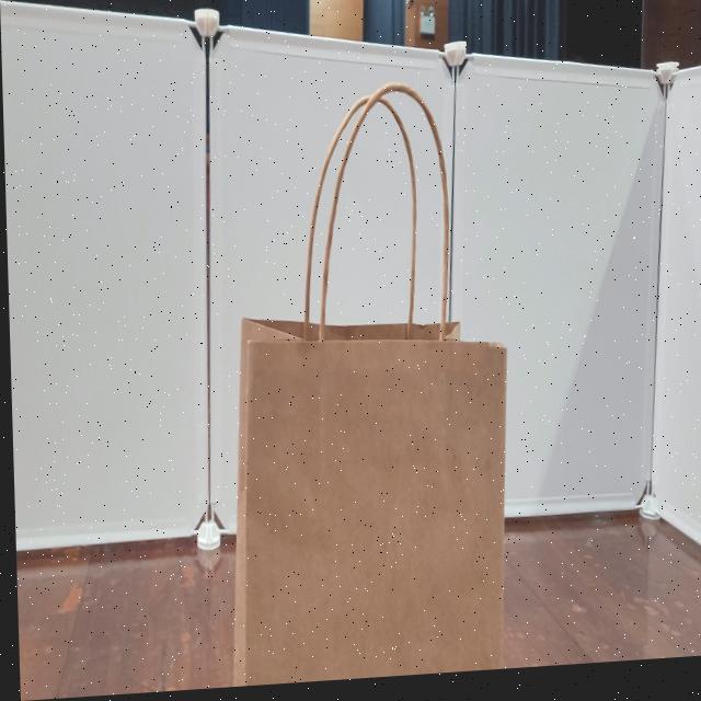 Dataset Image