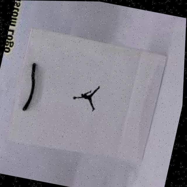 Dataset Image