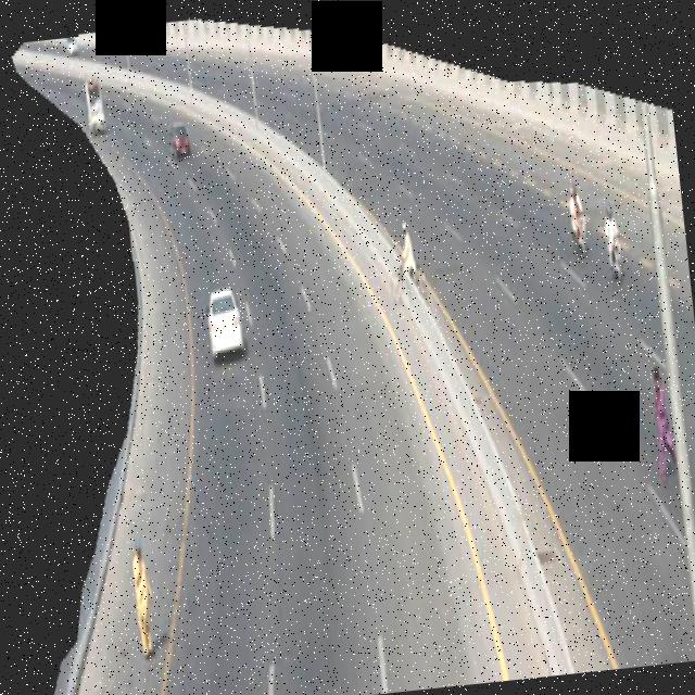 Dataset Image