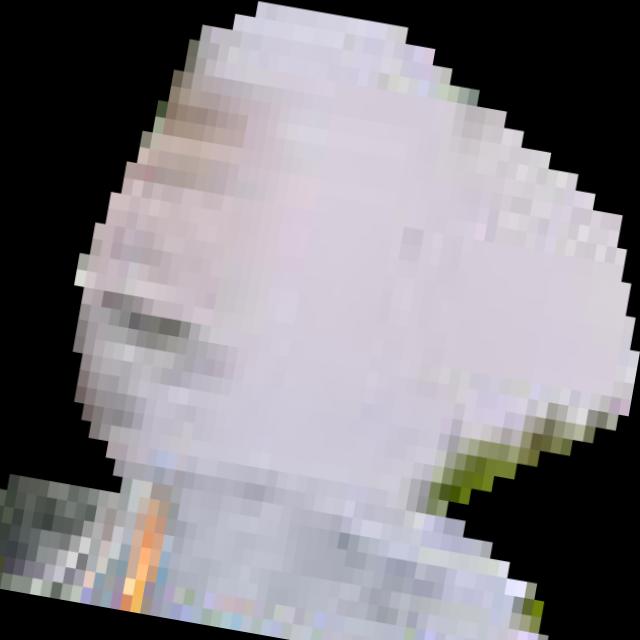 Dataset Image