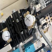 Dataset Image