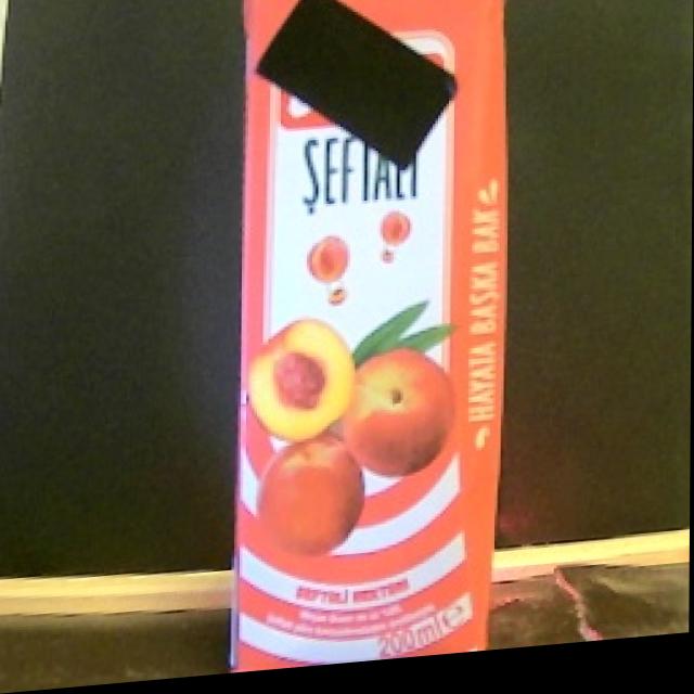 Dataset Image