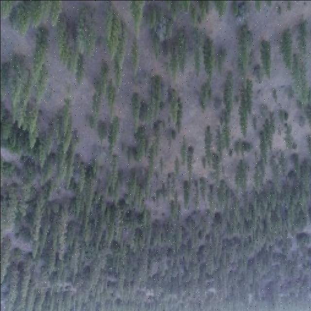 Dataset Image
