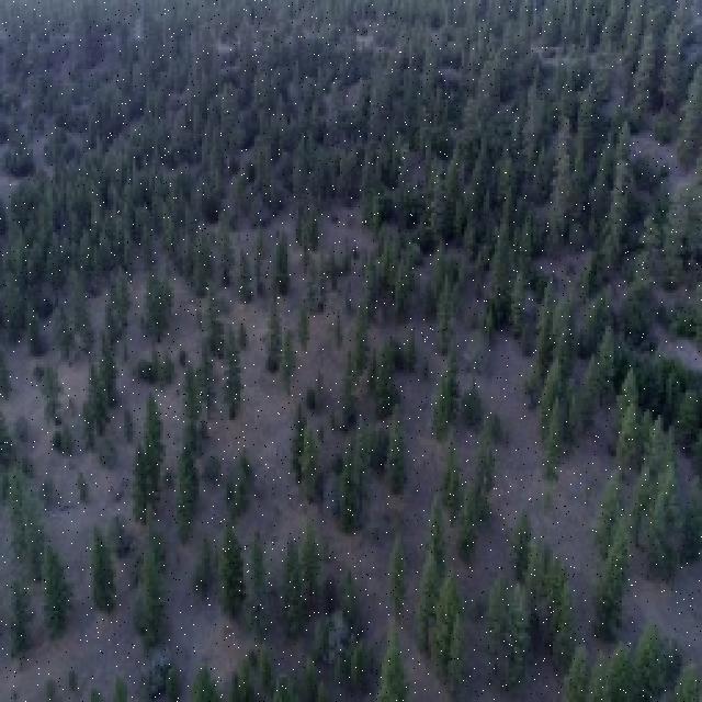Dataset Image