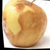 Dataset Image