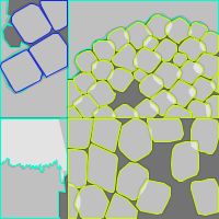 Annotation Visualization