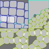 Annotation Visualization