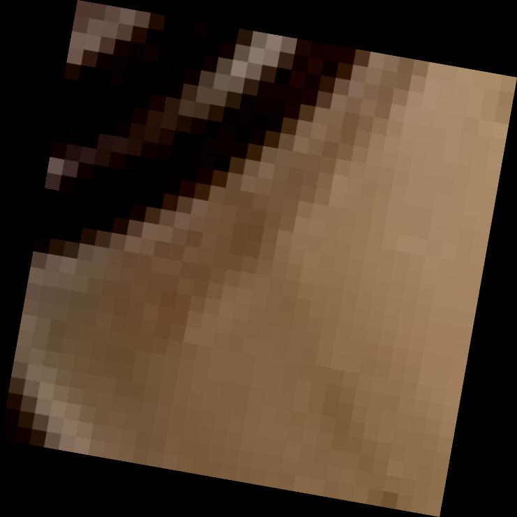 Dataset Image