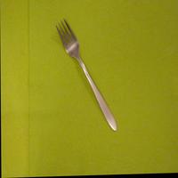 Dataset Image