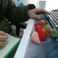 Dataset Image