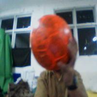 Dataset Image