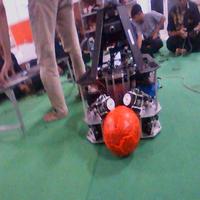 Dataset Image