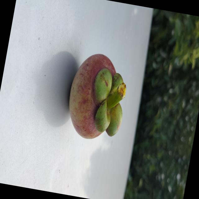 Dataset Image