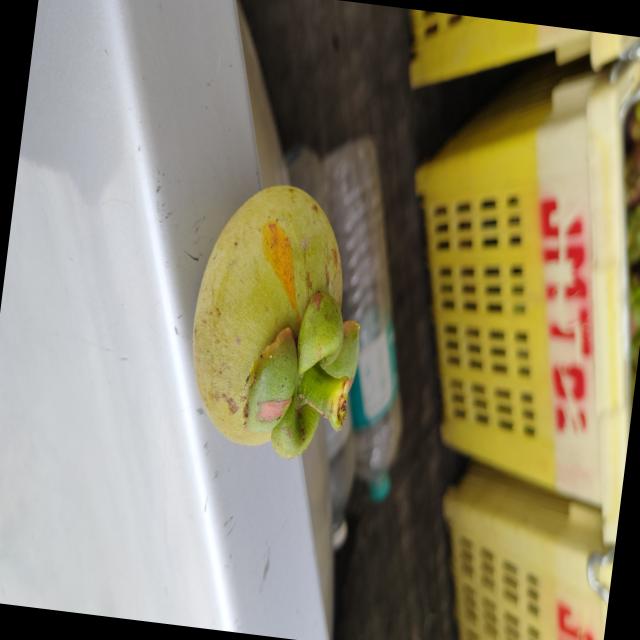 Dataset Image
