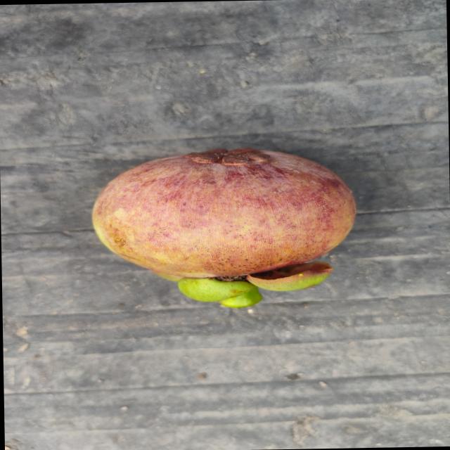 Dataset Image