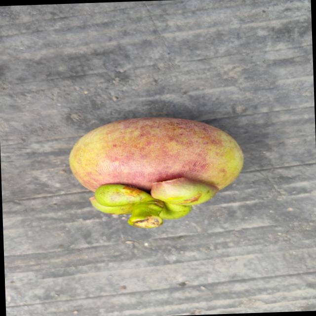 Dataset Image