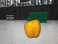 Dataset Image