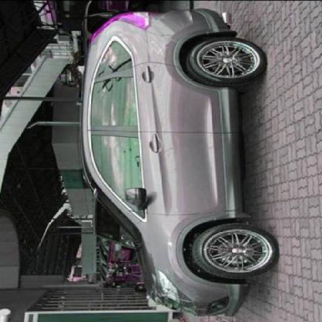 Dataset Image