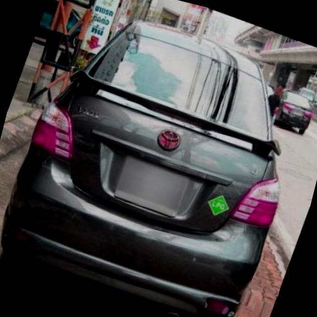 Dataset Image