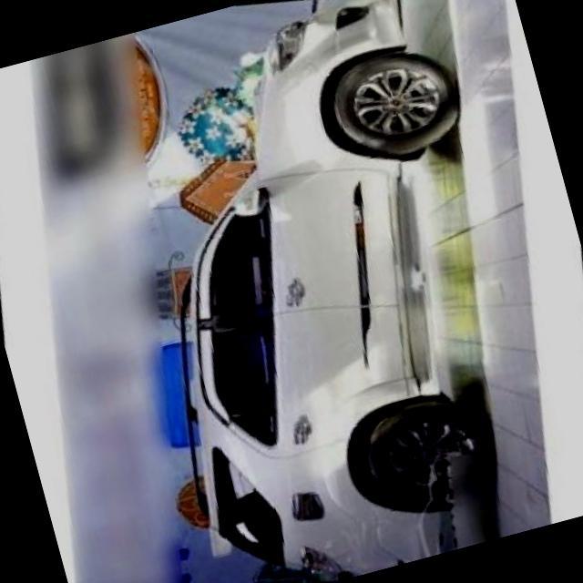 Dataset Image