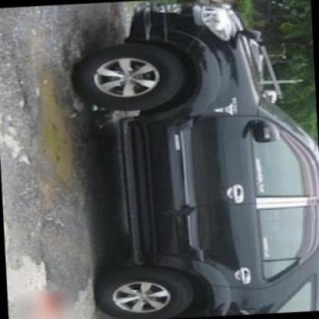 Dataset Image