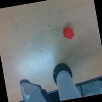 Dataset Image