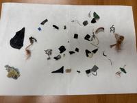 Dataset Image