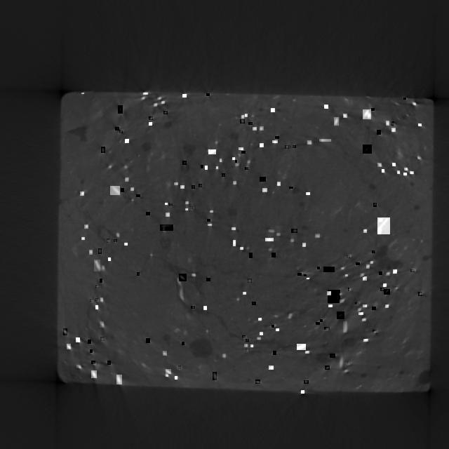 Dataset Image