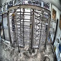 Dataset Image