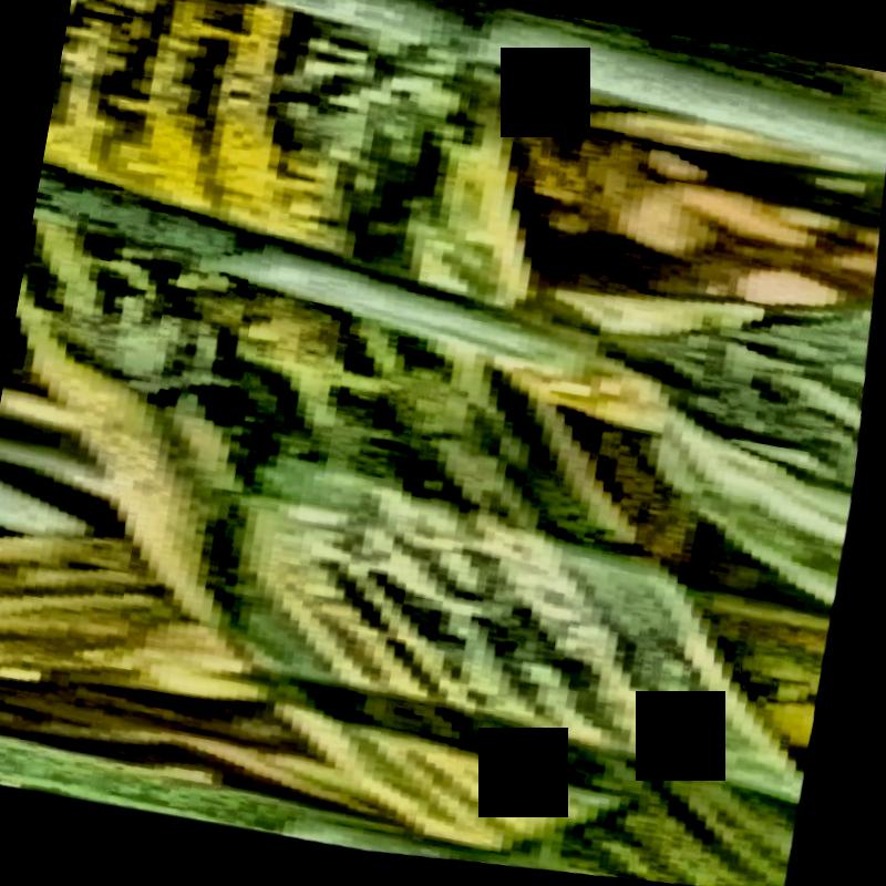 Dataset Image