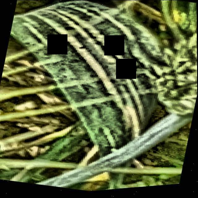 Dataset Image