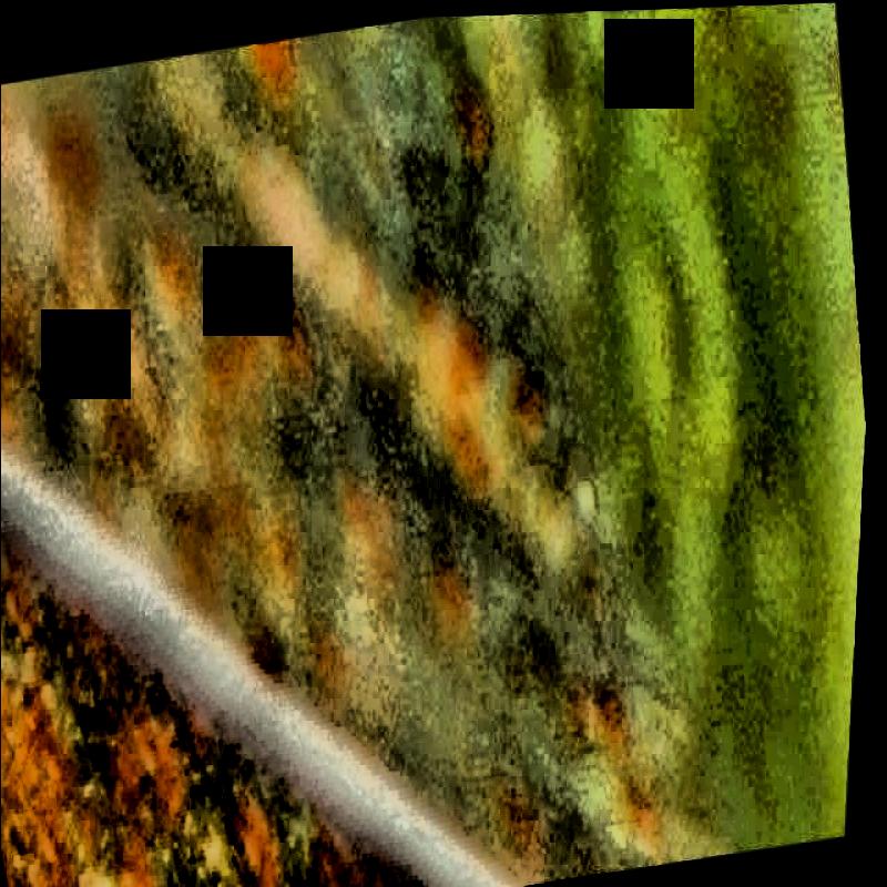 Dataset Image