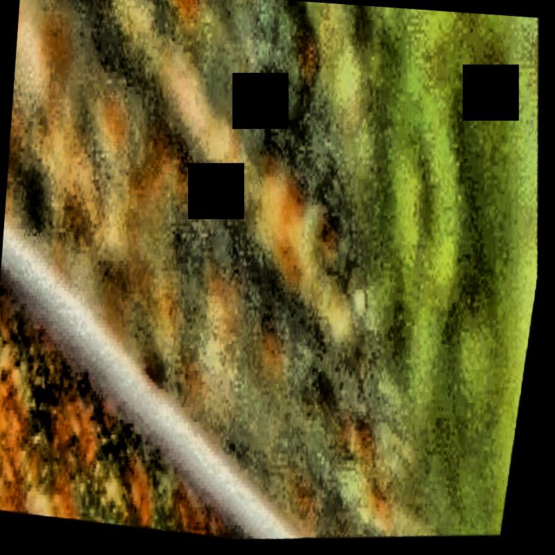 Dataset Image