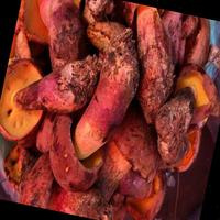 Dataset Image