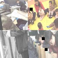 Dataset Image