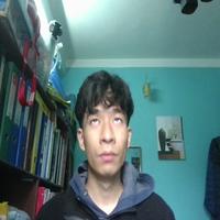 Dataset Image