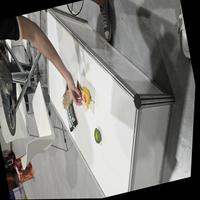 Dataset Image