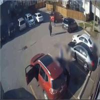 Dataset Image
