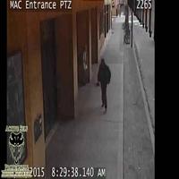 Dataset Image