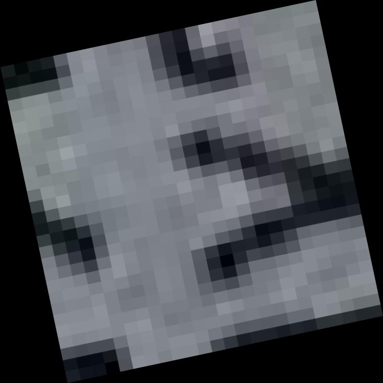 Dataset Image